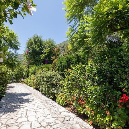 Ionian Garden Villas - Villa Pietra 바니체스 외부 사진