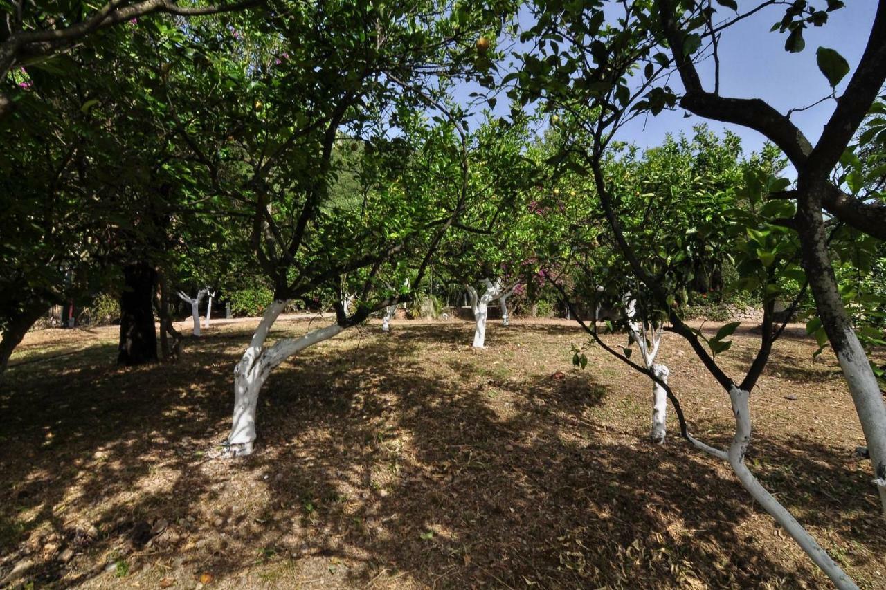 Ionian Garden Villas - Villa Pietra 바니체스 외부 사진