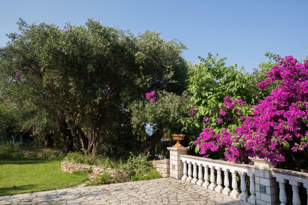 Ionian Garden Villas - Villa Pietra 바니체스 외부 사진